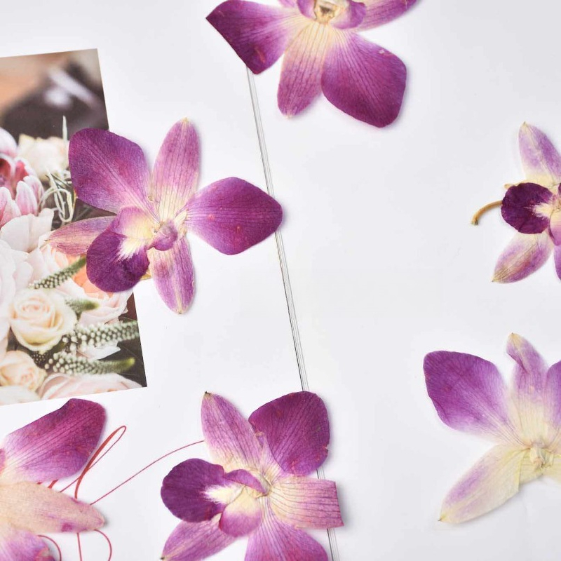 4 Buah, Bunga Anggrek Kupu-kup - Art And Craft Photos ulasan dan harga