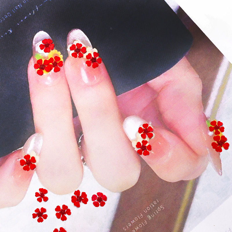 96 Buah Bunga Mini 1.5Cm Alami - Art And Craft Photos ulasan dan harga